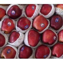 Maçã Red Delicious / Huaniu Apple / Fruta Chinesa